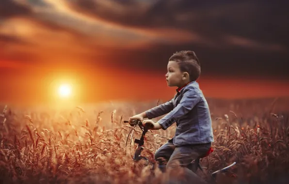 Картинка поле, закат, велосипед, настроение, мальчик
