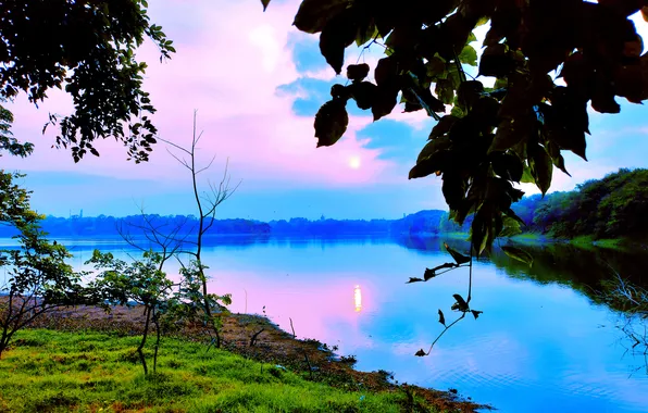 Sun, Water, Sunrise, Dawn, Morning, Lake, Trees, Reflection
