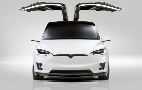 Вид спереди, Tesla, Model X, Novitec, 2017