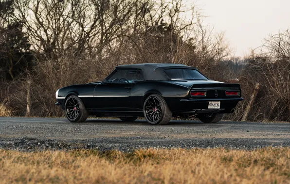 Стиль, черный, camaro, chevrolet