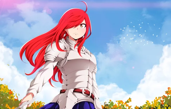 Рыцарь, Fairy Tail, Эльза, Хвост феи