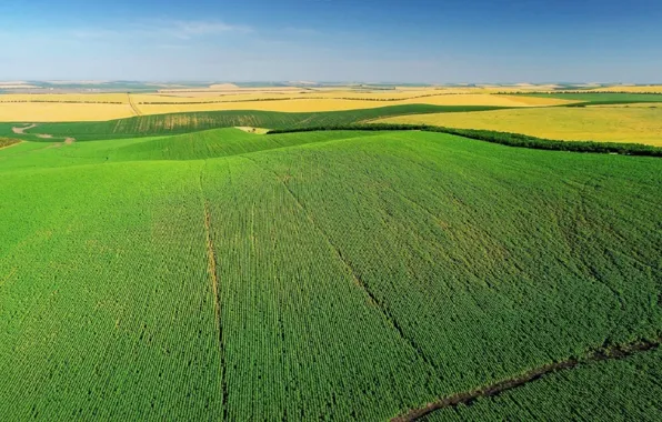 Поле, весна, field, spring, Молдова, Moldova