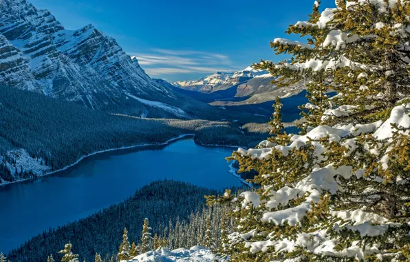 Лес, снег, горы, озеро, ель, Канада, Альберта, Banff National Park
