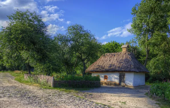 Деревья, Лето, дорожка, домик, summer, house, trees, огород