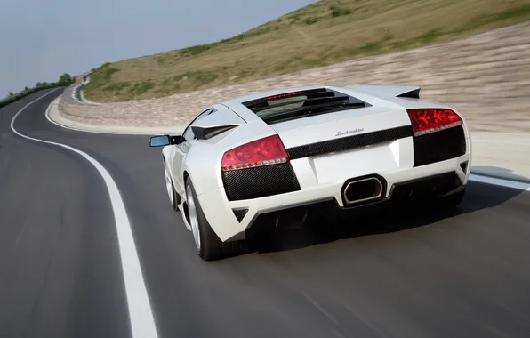 Дорога, белый, скорость, Lamborghini, суперкар, вид сзади, Murcielago, White
