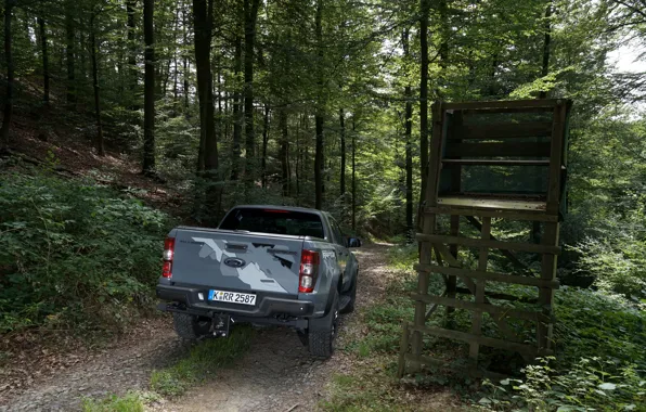 Серый, Ford, Raptor, пикап, Ranger, в лесу, 2019