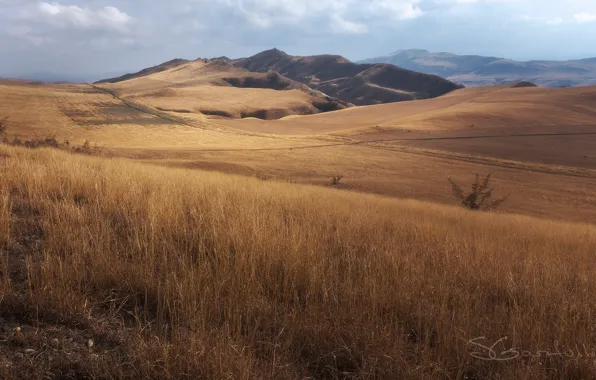 Картинка осень, небо, трава, облака, горы, холмы, куст, склон