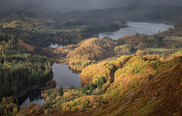 Картинка forest, autumn, lake, Scotand, Loch Lomond and The Trossachs