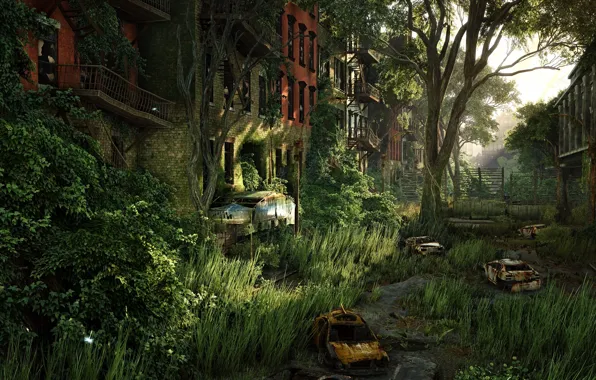 Трава, деревья, разрушения, ржавчина, crysis