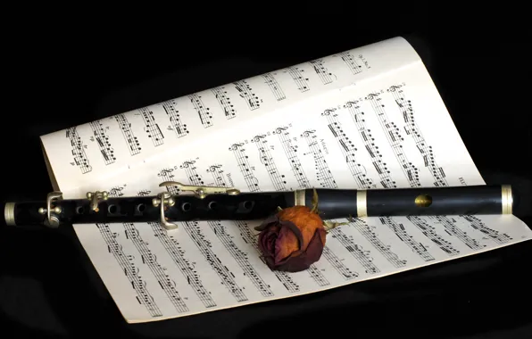 Картинка цветок, ноты, музыка, флейта