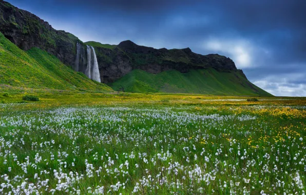 Трава, цветы, скалы, водопад, Исландия