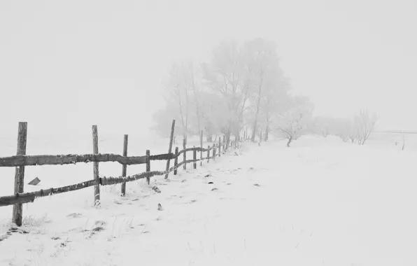 Картинка зима, дорога, снег, мороз, Nature, метель, road, blizzard