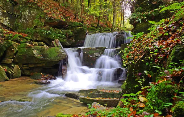 Осень, листья, деревья, парк, ручей, камни, водопад, мох