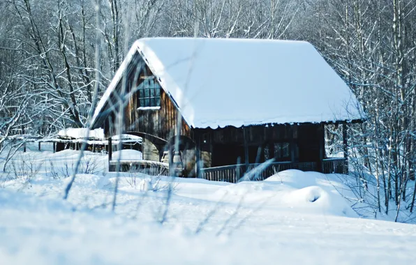 Картинка зима, снег, деревья, пейзаж, зимний, домик, house, landscape