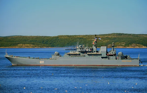 Корабль, большой, десантный, проект 775, александр отраковский
