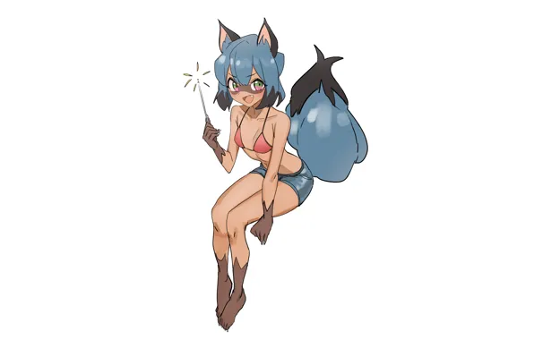 Girl, sexy, cleavage, shorts, legs, boobs, animal ears, anime