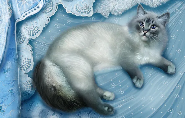 Картинка кошка, ткань, лежит, серая, голубая