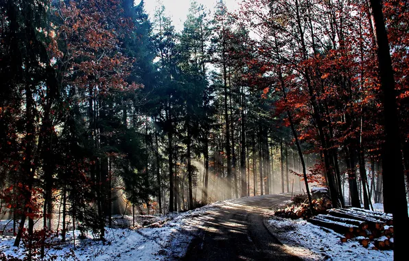 Картинка зима, дорога, лес, лучи, свет, природа