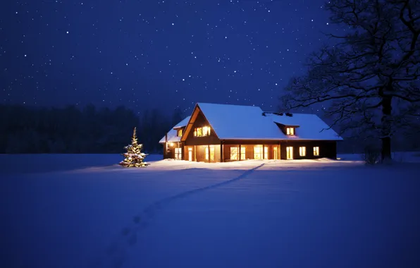 Lights, дом, елка, Новый Год, Рождество, Christmas, night, winter