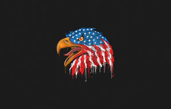Картинка Цвет, Птица, Стиль, Флаг, Орел, Голова, Клюв, США