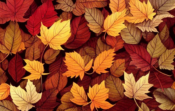 Детские поделки из листьев на тему осень