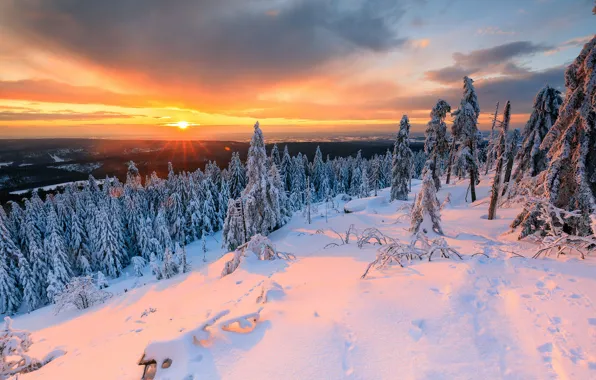 Зима, лес, небо, солнце, облака, лучи, свет, снег