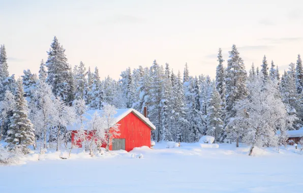 Зима, снег, деревья, пейзаж, зимний, house, хижина, landscape
