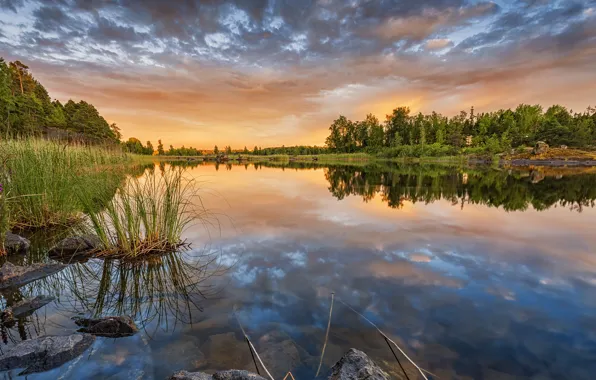 Картинка лес, закат, отражение, река, Финляндия