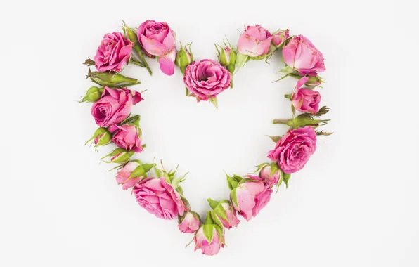 Сердце, розы, розовые, бутоны, pink, roses, Heart