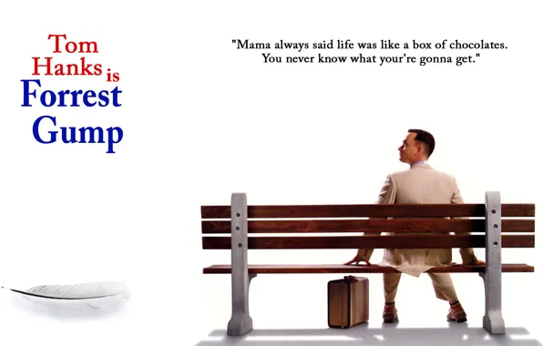 Картинка movie, bench, Tom Hanks, feather, luggage, Forrest Gump, suitcase