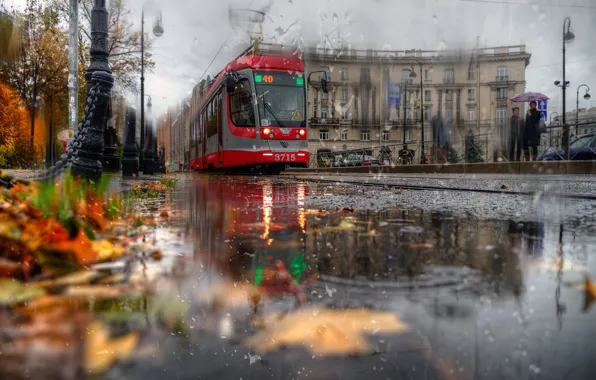 Осень, листья, город, дождь, улица, здание, Питер, Санкт-Петербург
