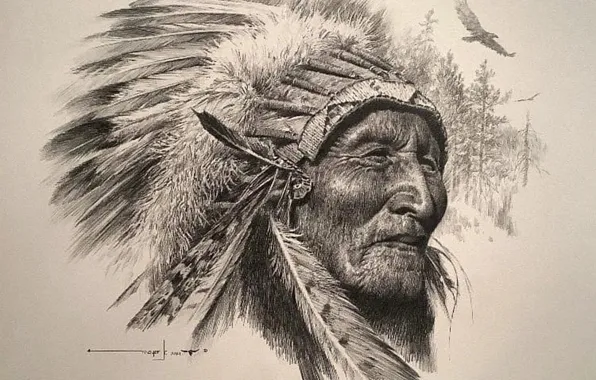 The chief, first people, native american art