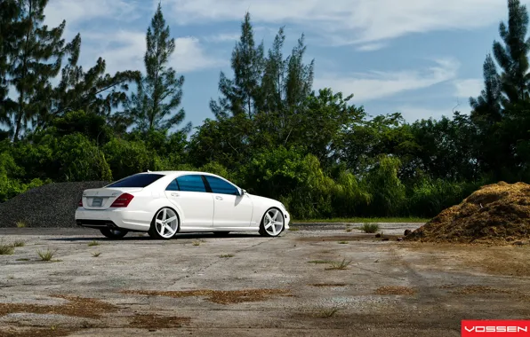 Картинка белый, диски, мерседес