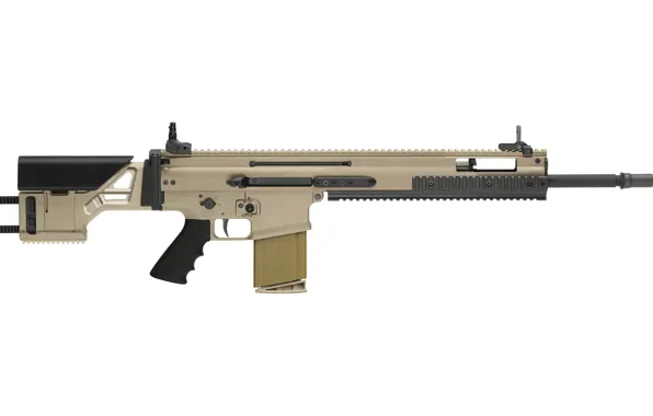 Винтовка, снайперская винтовка, Fabrique Nationale, 7.62х51, 7.62, FN SCAR SSR Mk 20 Mod 0, SCAR