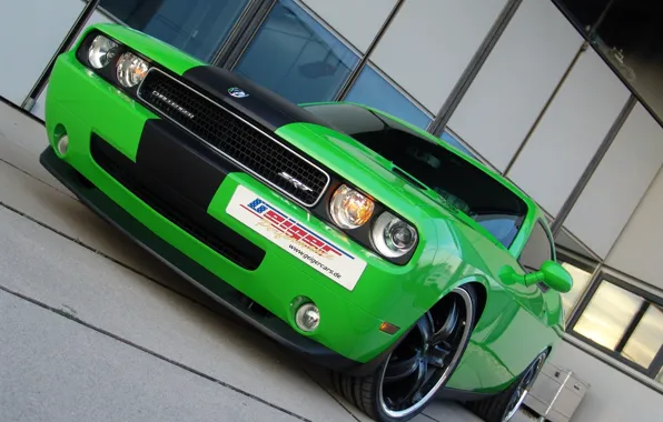 2008, Dodge, SRT8, Challenger, Geiger