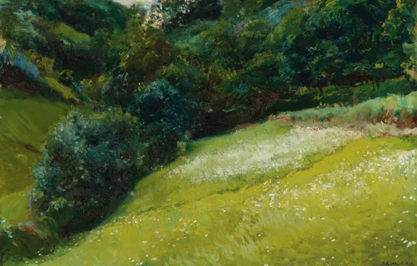 Пейзаж, картина, Хоакин Соролья, Поле в Астурии, Joaquin Sorolla y Bastida