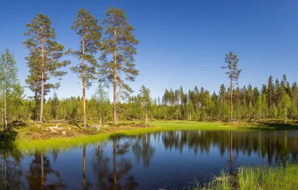 Картинка небо, деревья, озеро