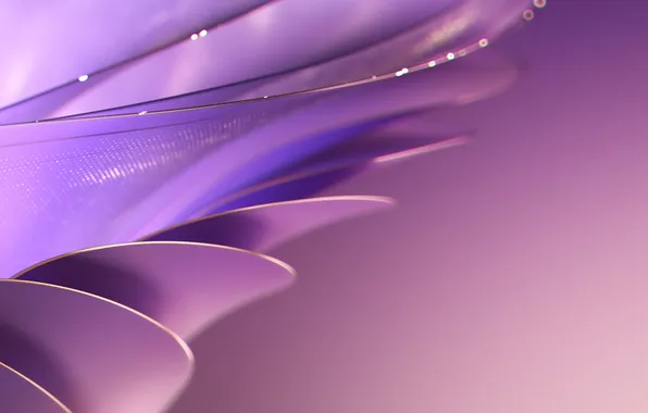 Картинка абстракция, градиент, Purple, Фиолетовый, Abstract, digital art, gradient, цифровое искусство