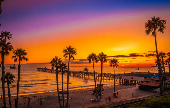Картинка море, пляж, небо, закат, пальмы, побережье, горизонт, Калифорния