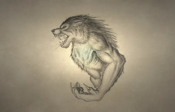 Картинка волк, оборотень, рычит, wolf, werewolf