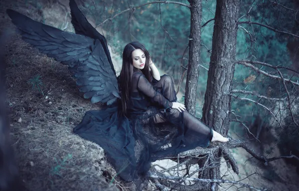 Angel, Forest, black wings
