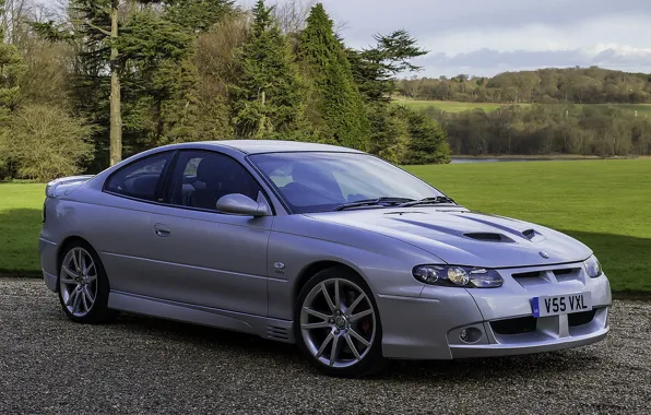 Авто, природа, Обочина, vauxhall-monaro-vxr8