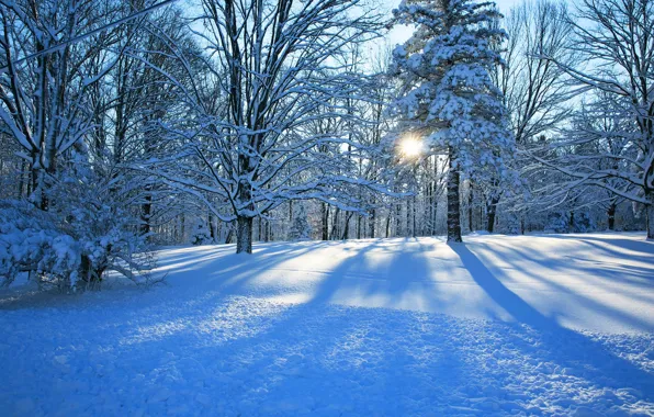 Зима, дорога, лес, небо, снег, деревья, пейзаж, природа