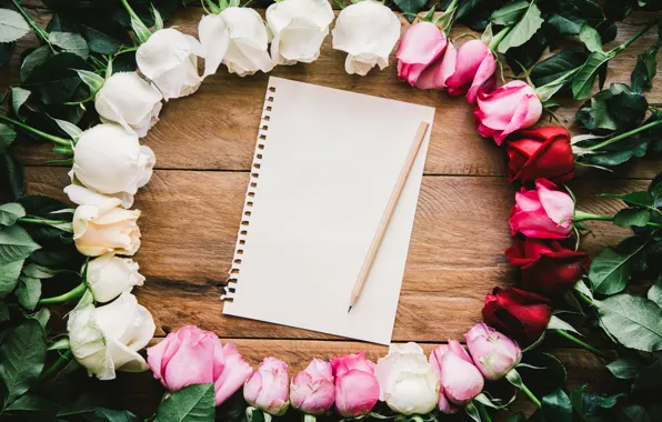 Картинка цветы, розы, рамка, white, wood, pink, flowers, romantic