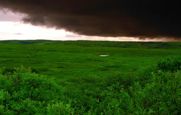 Поле, трава, облака, буря, Зеленый