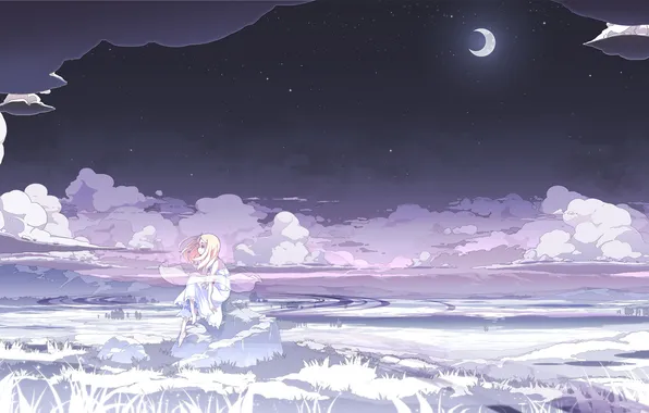 Картинка поле, девушка, звезды, облака, ночь, природа, месяц, аниме