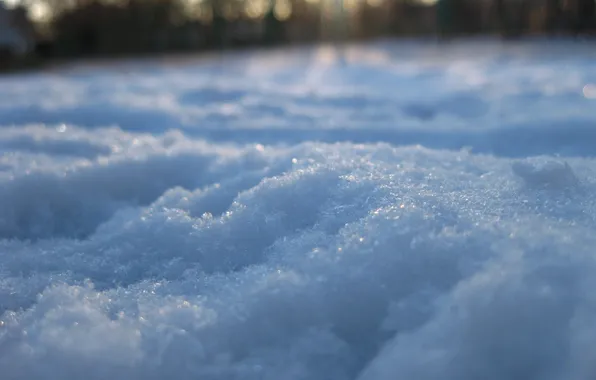 Холод, зима, макро, снег, природа