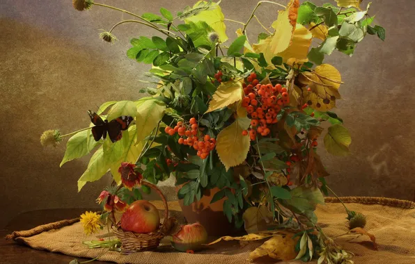 Картинка осень, листья, ветки, стол, бабочка, яблоки, букет, ваза