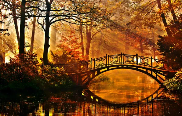 Картинка осень, деревья, мост, пруд, парк, лучи солнца, кусты