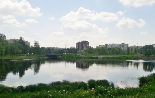 Лето, пейзаж, озеро, красота в природе